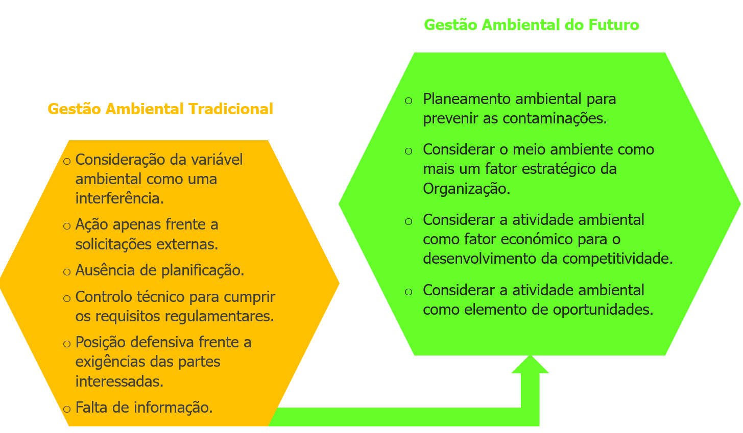 Conheça As Áreas De Atuação Da Gestão Ambiental – KLVN