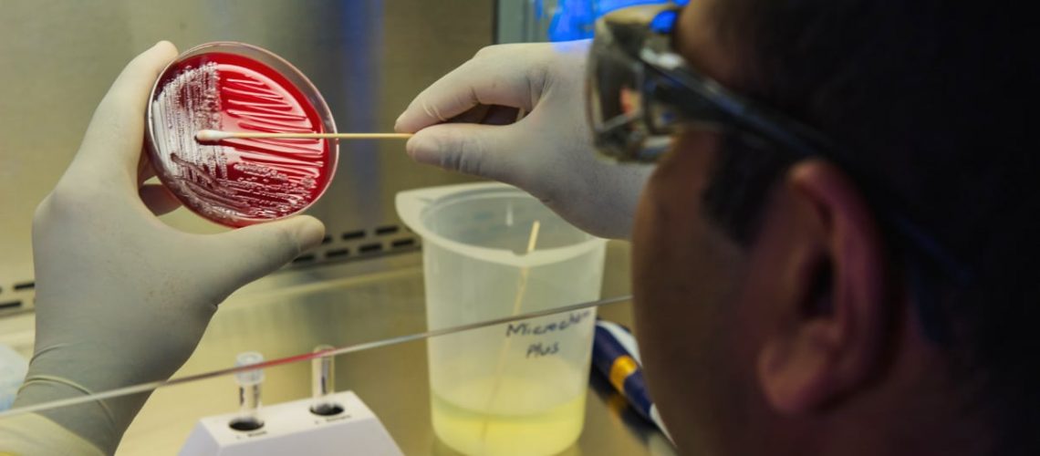 microbiologia alimentos
